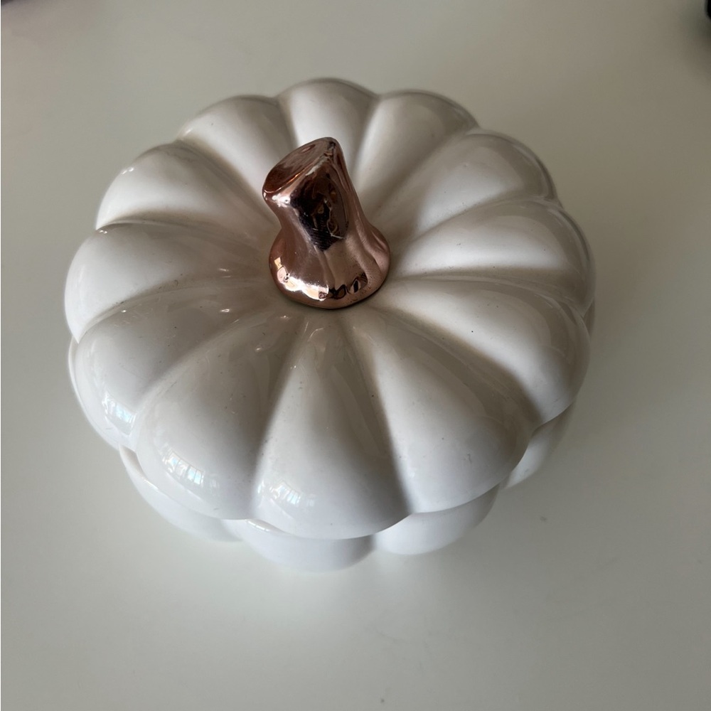 White Ceramic Pumpkin with Copper Stem
